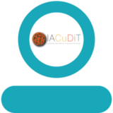 Logo-Digit-iacudit